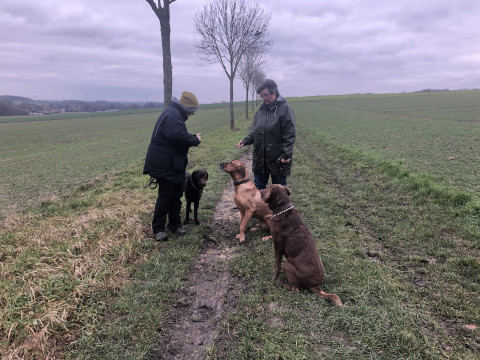 Bild "Henkabenteuer:sonntagsrunde_jan-21_henk_mit_balu_und_urmel_01.jpg"